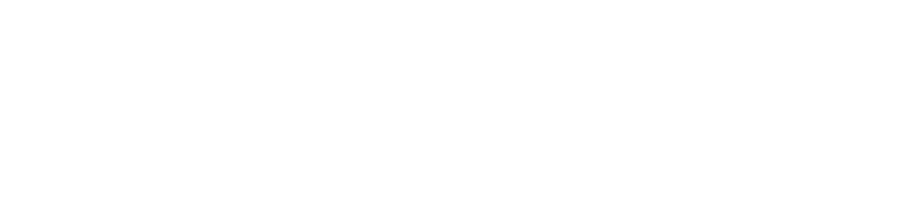 Politécnico de Viseu